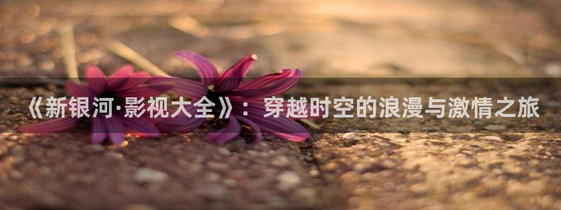 麥田視覺攝影