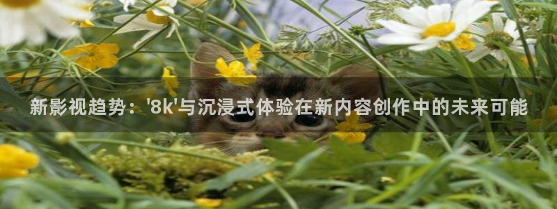 麥田影視官網下載：新影視趨勢：\'8k\'與沉浸式體驗在新內容創作中的未來可能