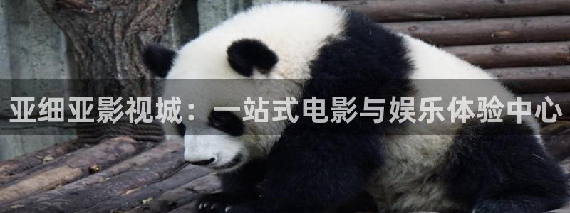 麥田影院官網(wǎng)入口
