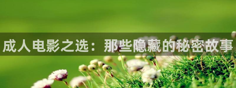 冀州麥田影城電影查詢：成人電影之選：那些隱藏的秘密故事