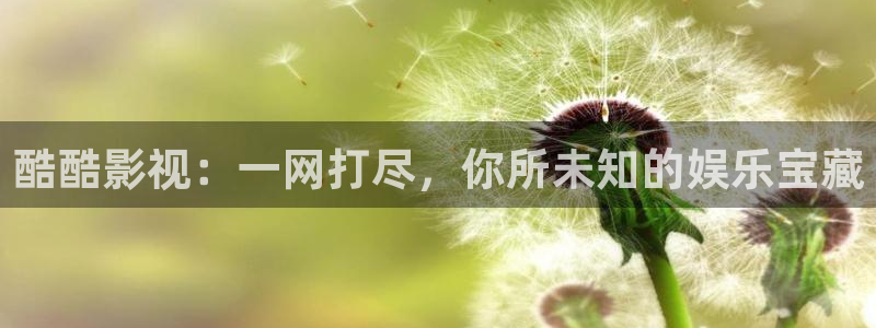 麥田汽車(chē)電影院：酷酷影視：一網(wǎng)打盡，你所未知的娛樂(lè)寶藏