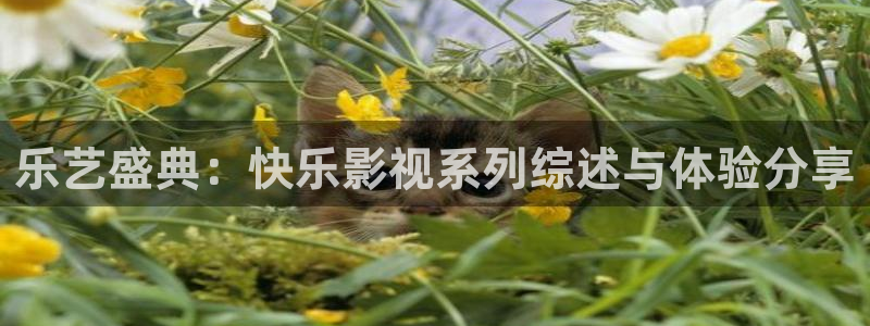 麥田映像：樂(lè)藝盛典：快樂(lè)影視系列綜述與體驗(yàn)分享
