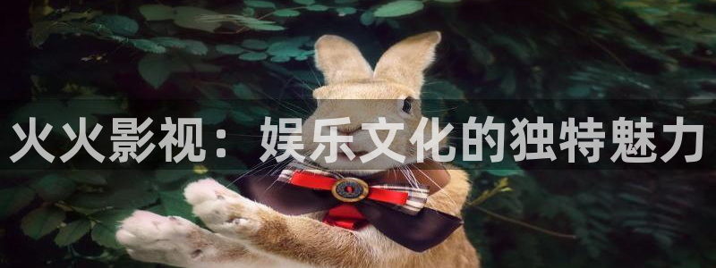 麥田視覺(jué)攝影怎么樣：火火影視：娛樂(lè)文化的獨(dú)特魅力