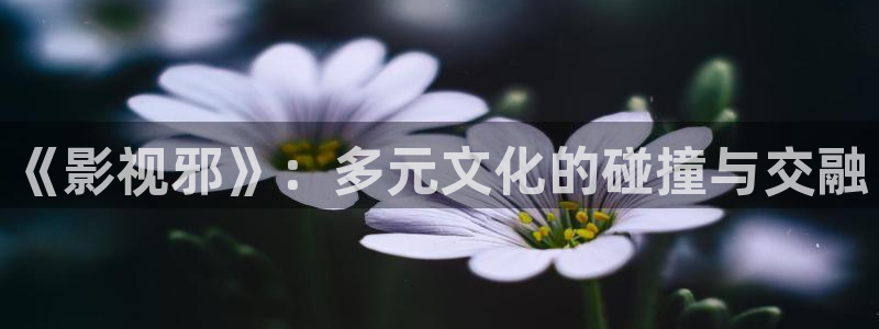 麥田影視下載：《影視邪》：多元文化的碰撞與交融